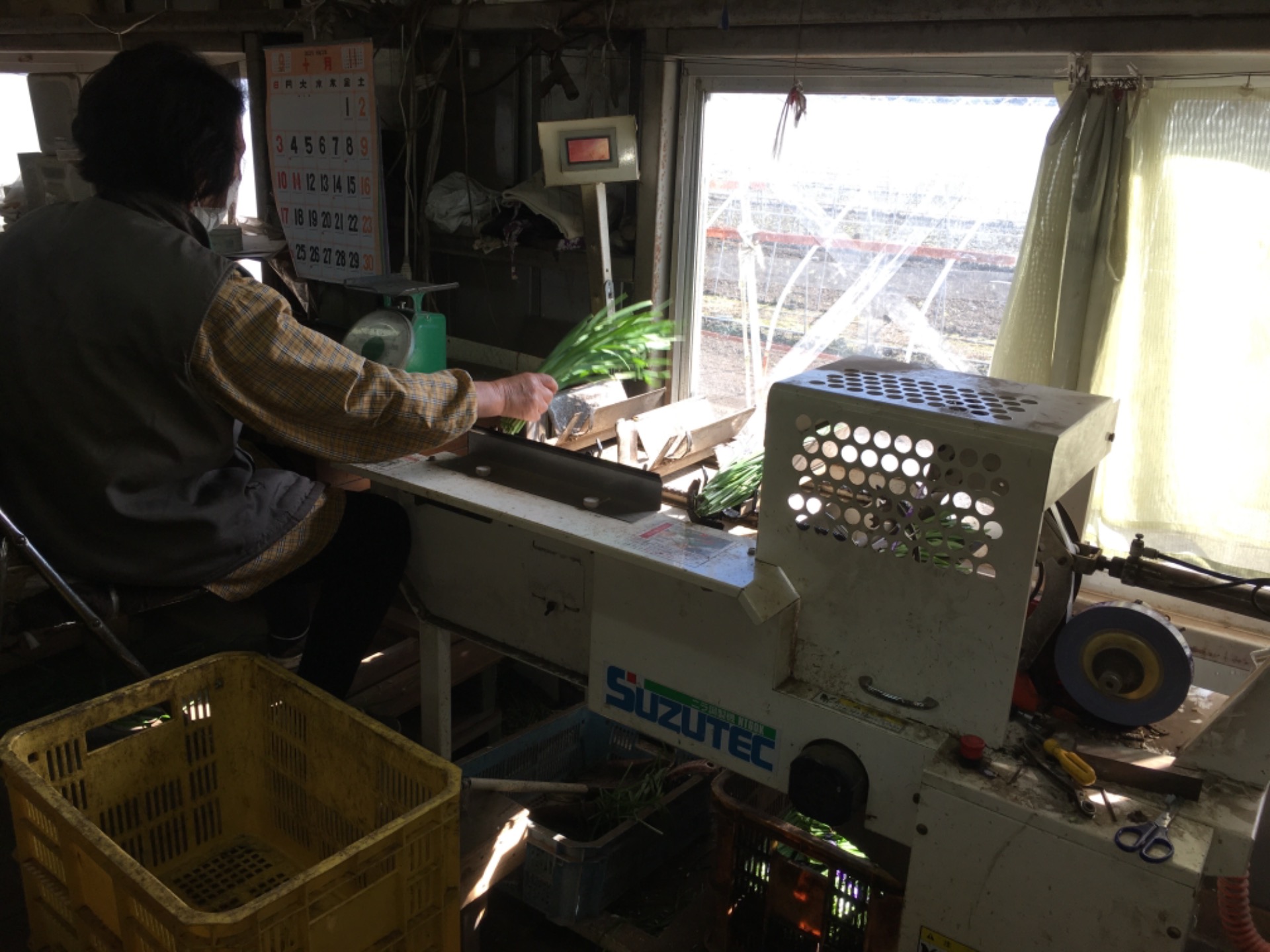 General Work in Farming