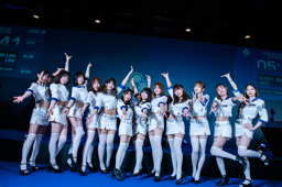 Other (Promotional Model)