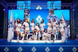 Other (Promotional Model)