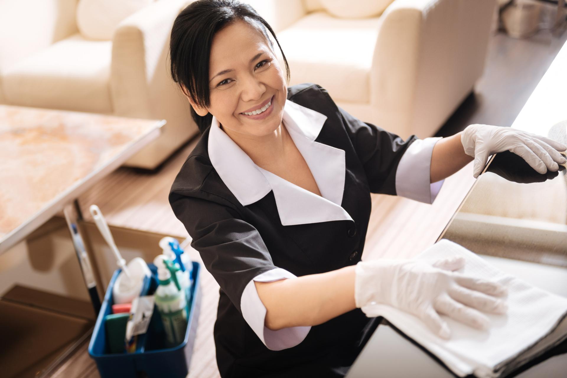 Hotel Cleaner in Hotel