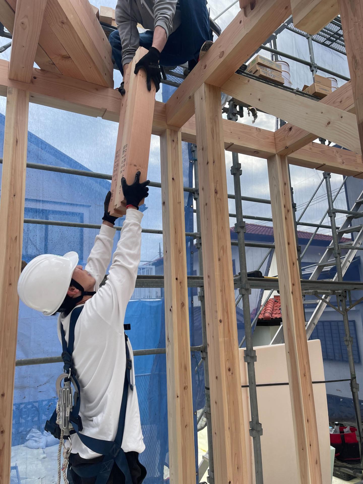 Construction assistant in Construction