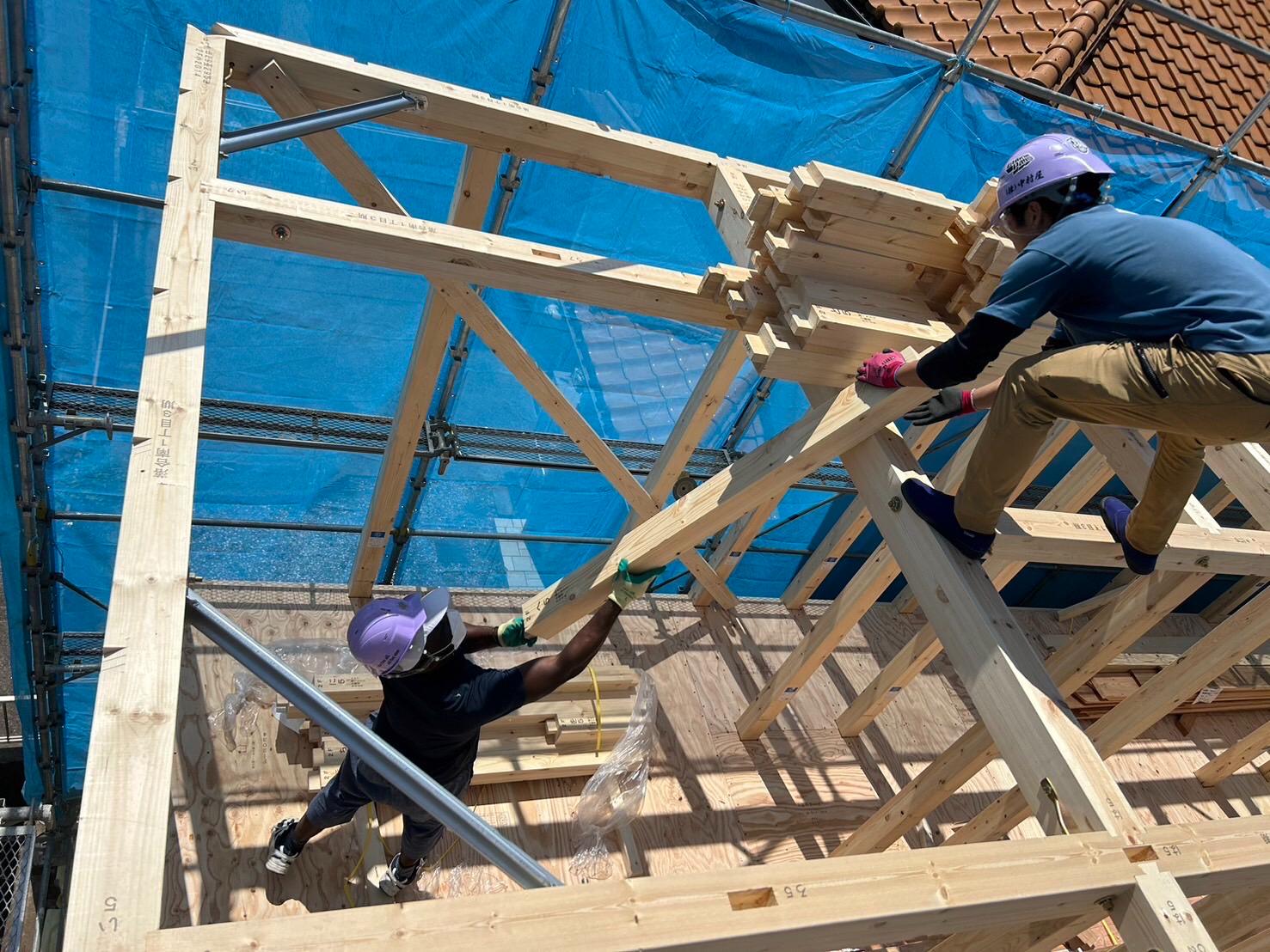 Trợ lý xây dựng in Xây dựng