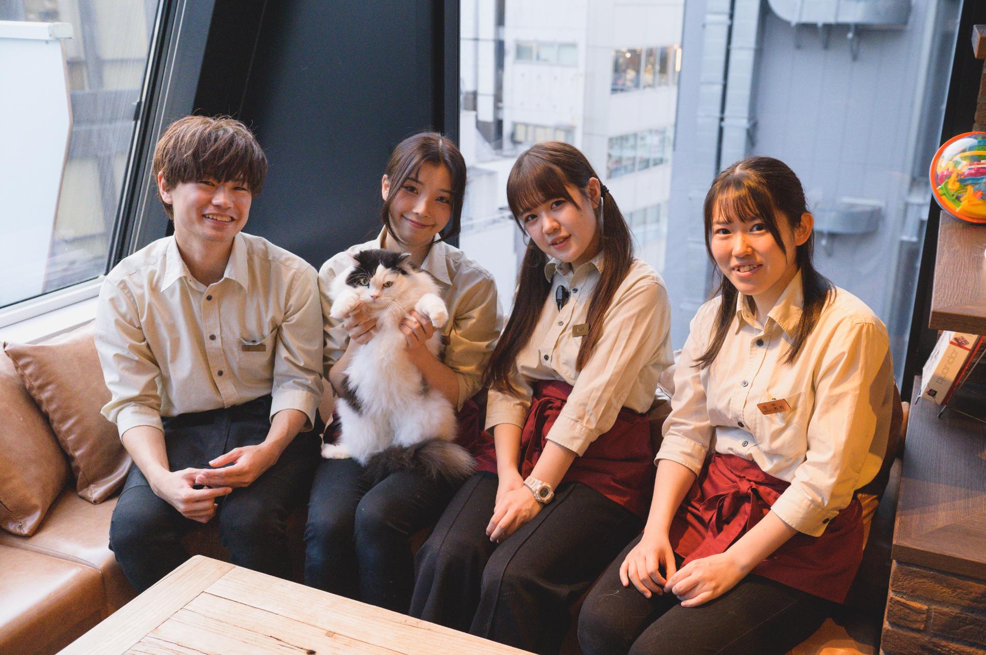 General Work in Pet Shop