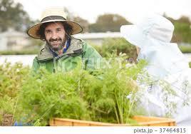 အျခား in စိုက်ပျိုးရေးလုပ်ငန်း