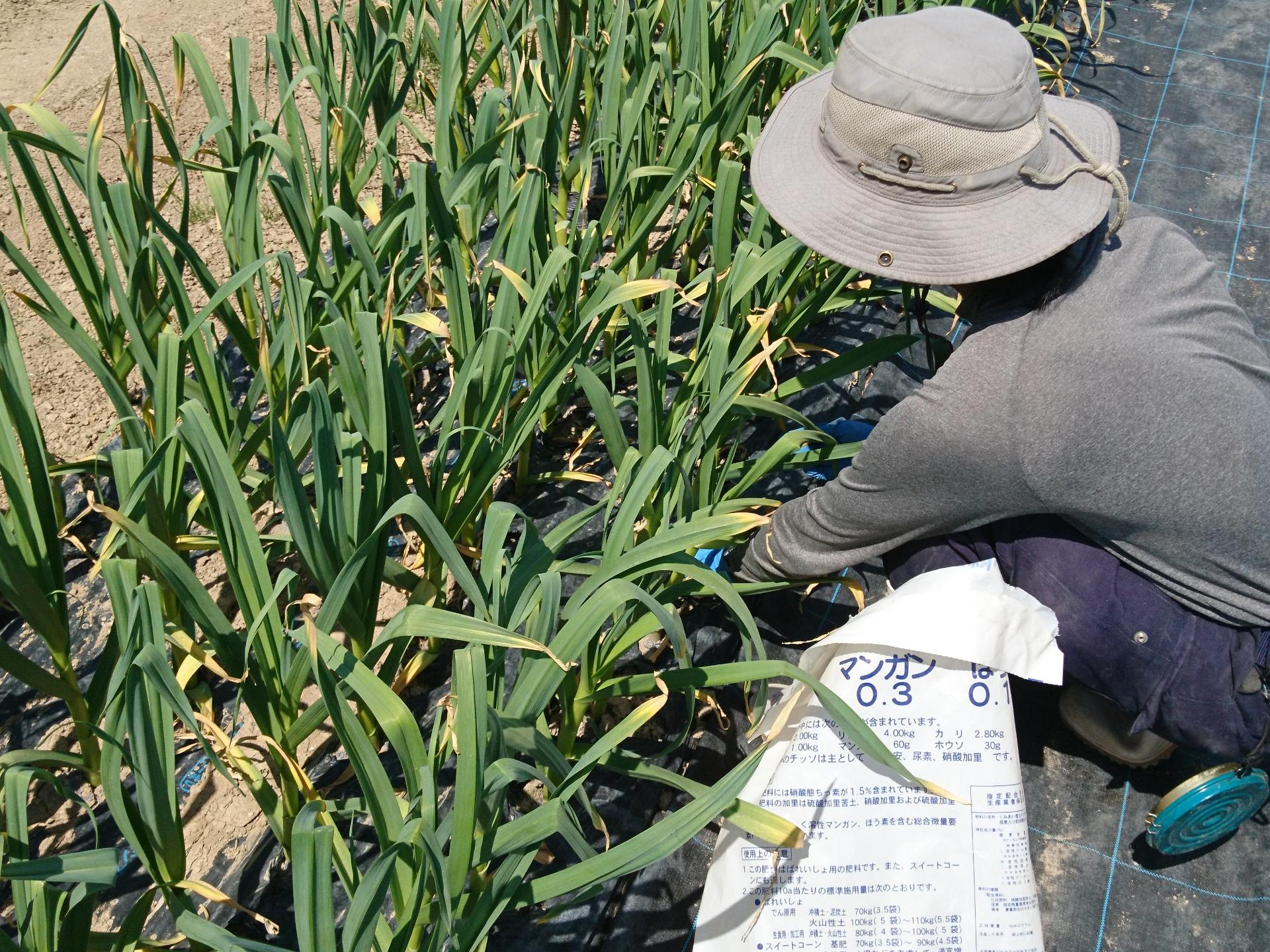 General Work in Farming