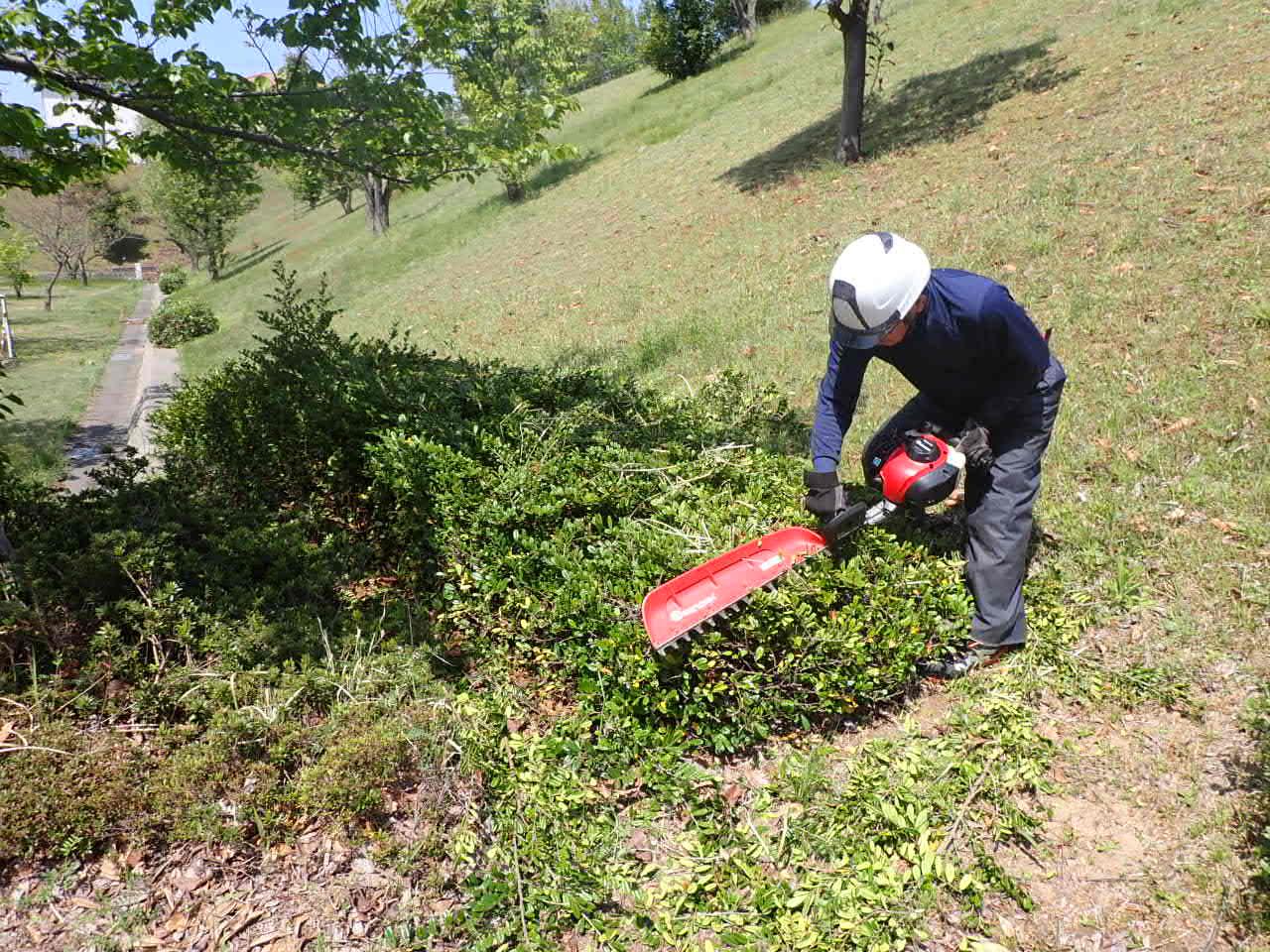 しごと/造園（ぞうえん）