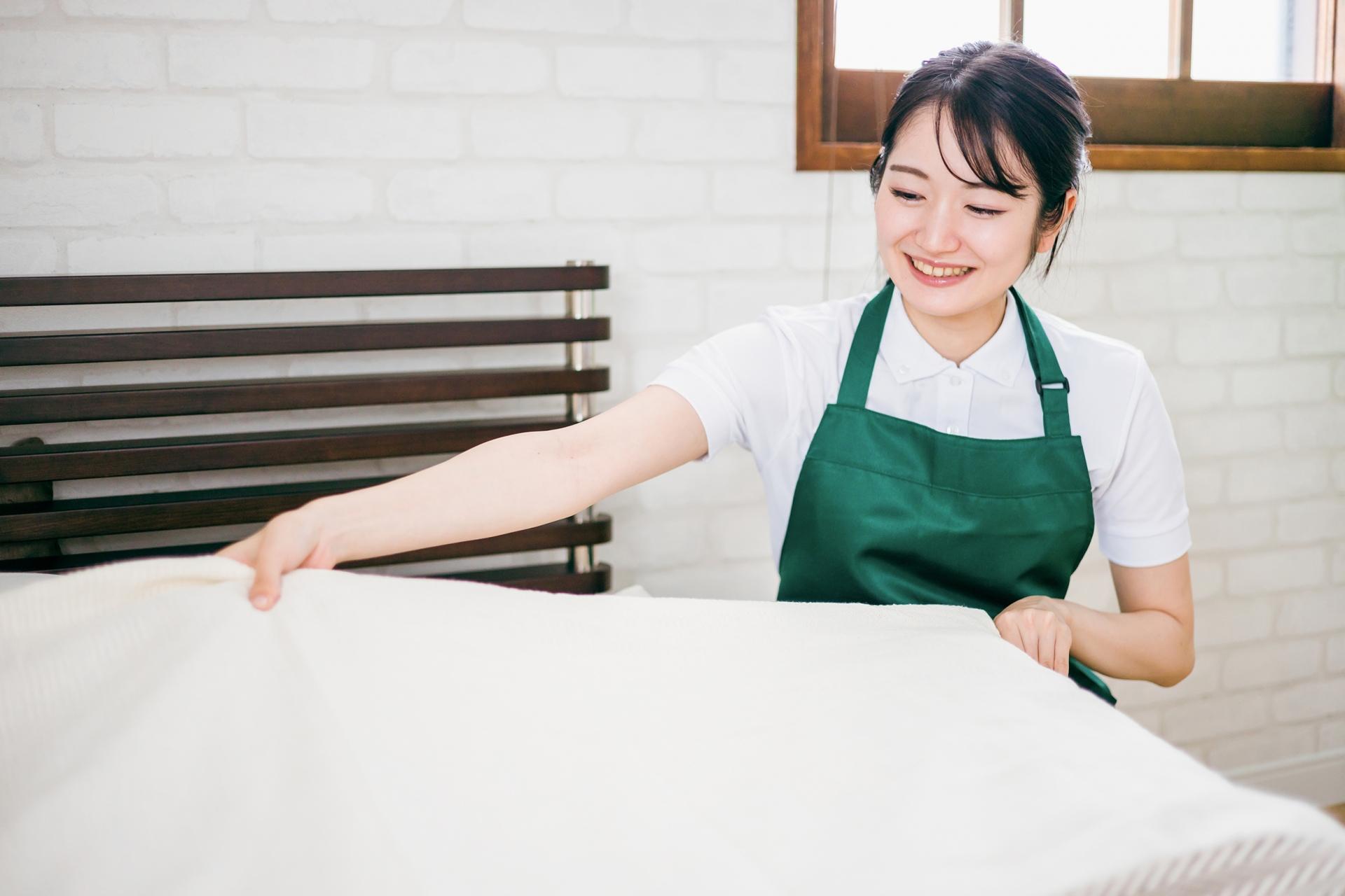 Hotel Cleaner in Hotel