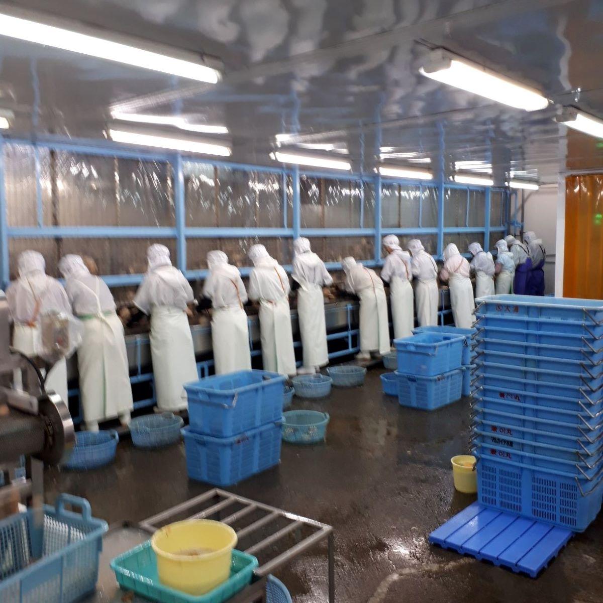 General Work in Factory