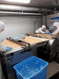 工場 (作業全般)