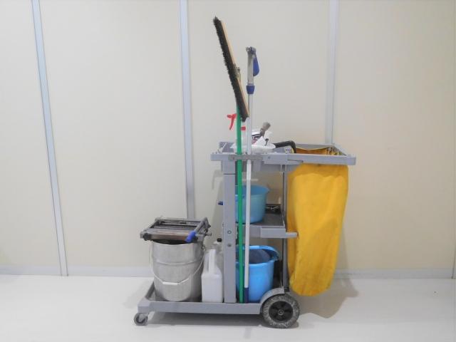 Cleaner in Hospital