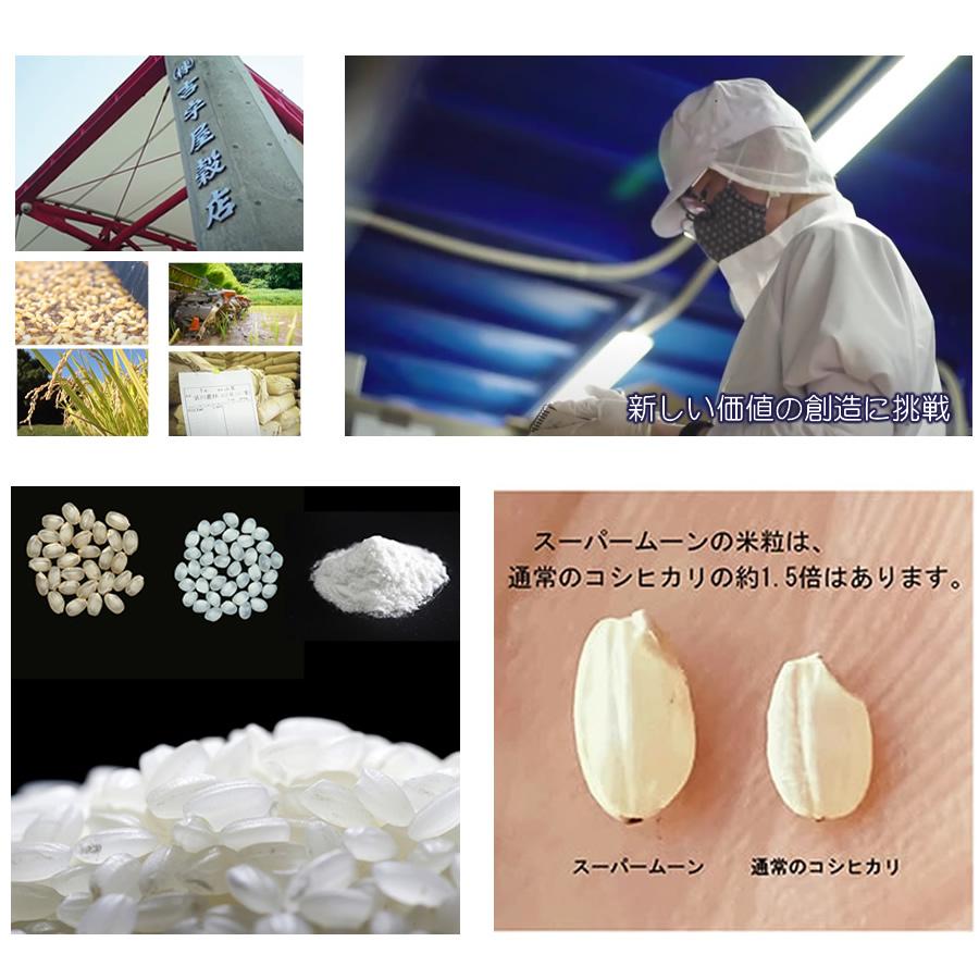 Factory (General Work)