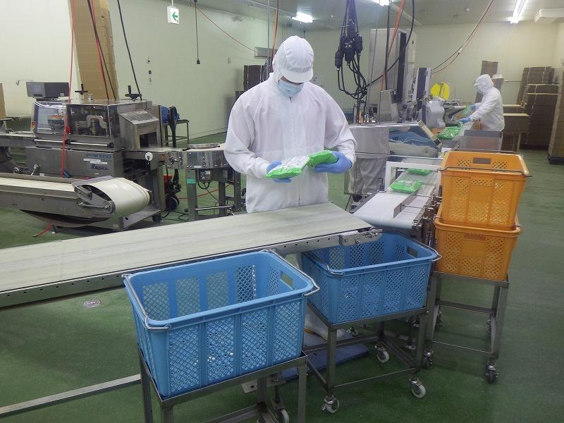 General Work in Factory