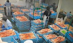 スーパーマーケット (梱包作業)