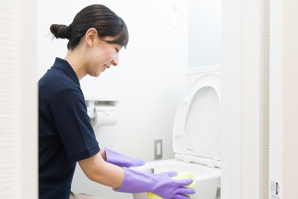 Building Cleaner in Cleaning Service