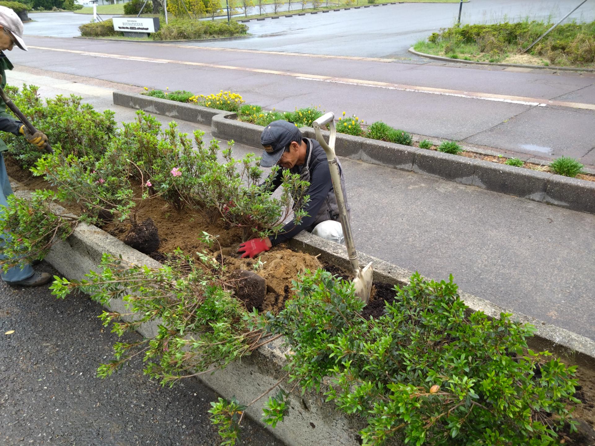 General Work in Gardening