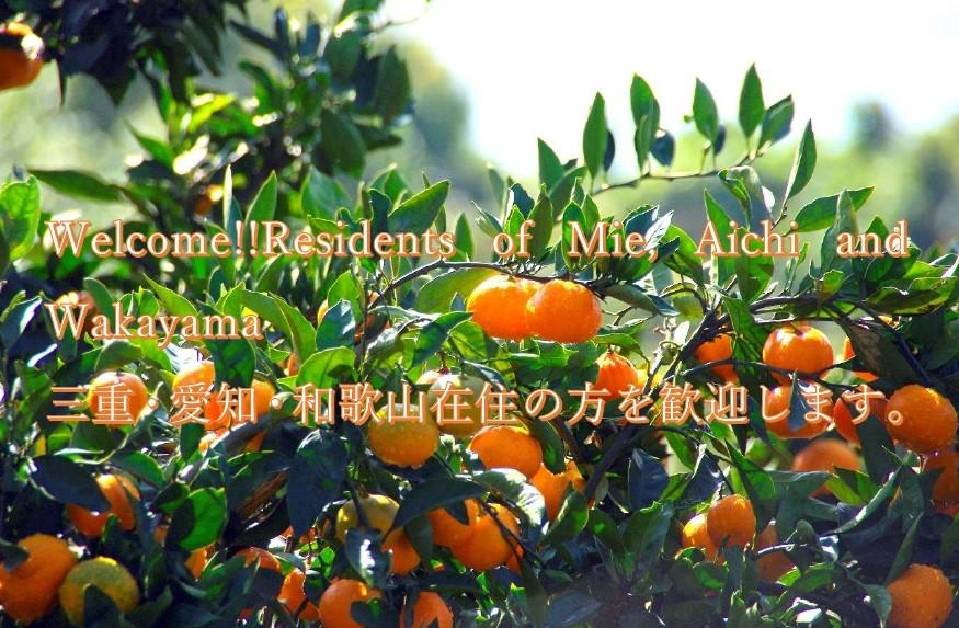 General Work in Farming