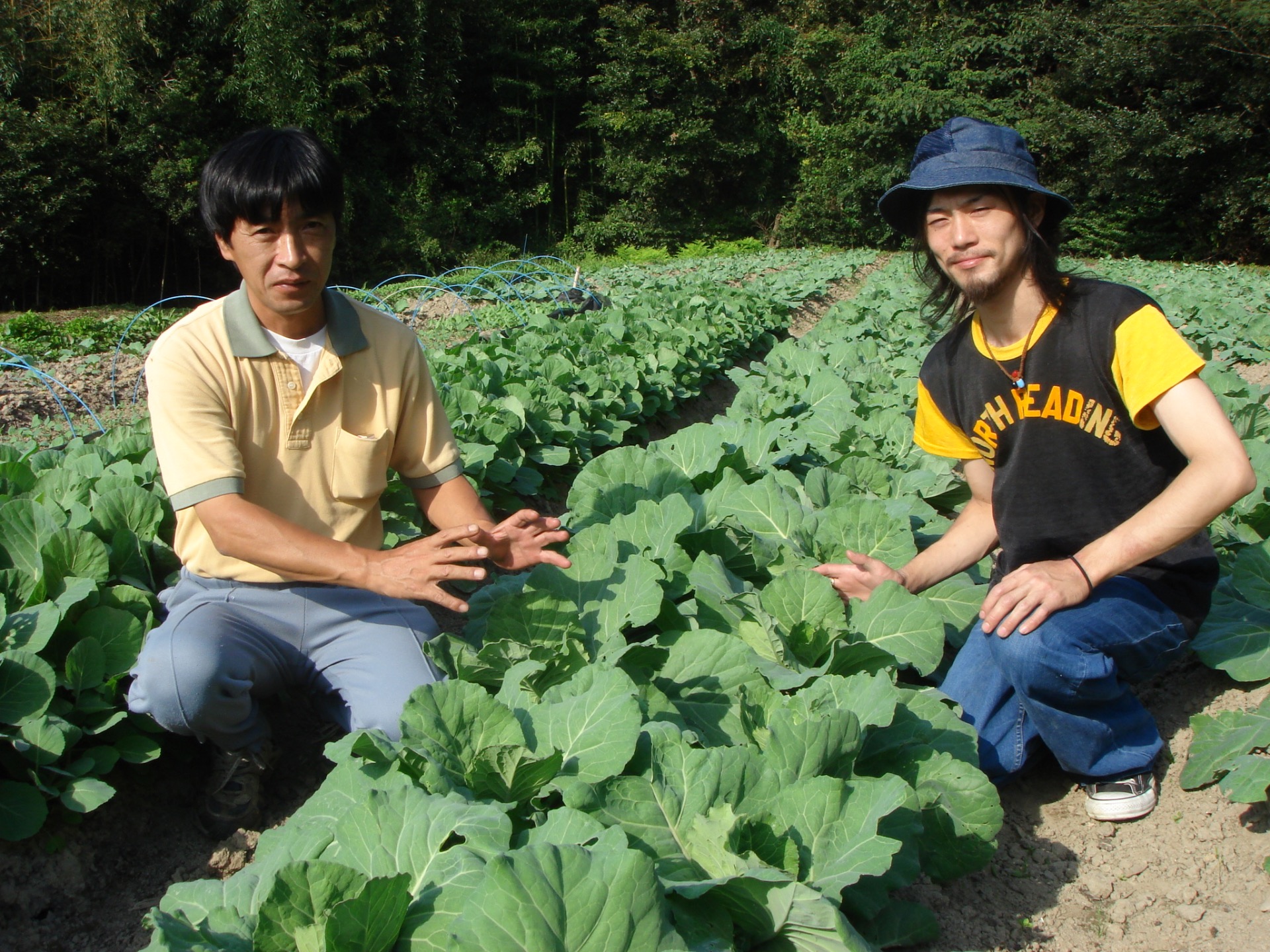 Kitchen server in Restaurant