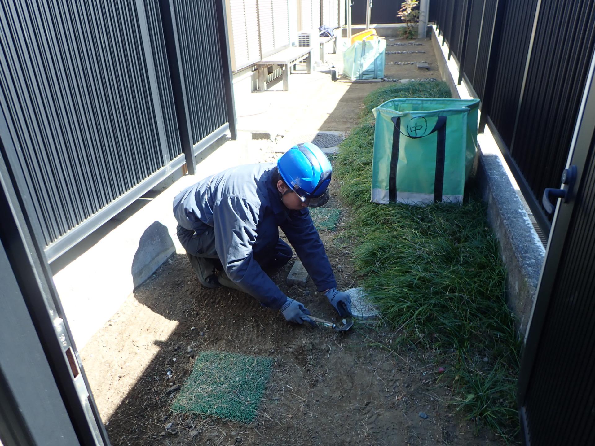 အျခား in ဥယျာဉ်