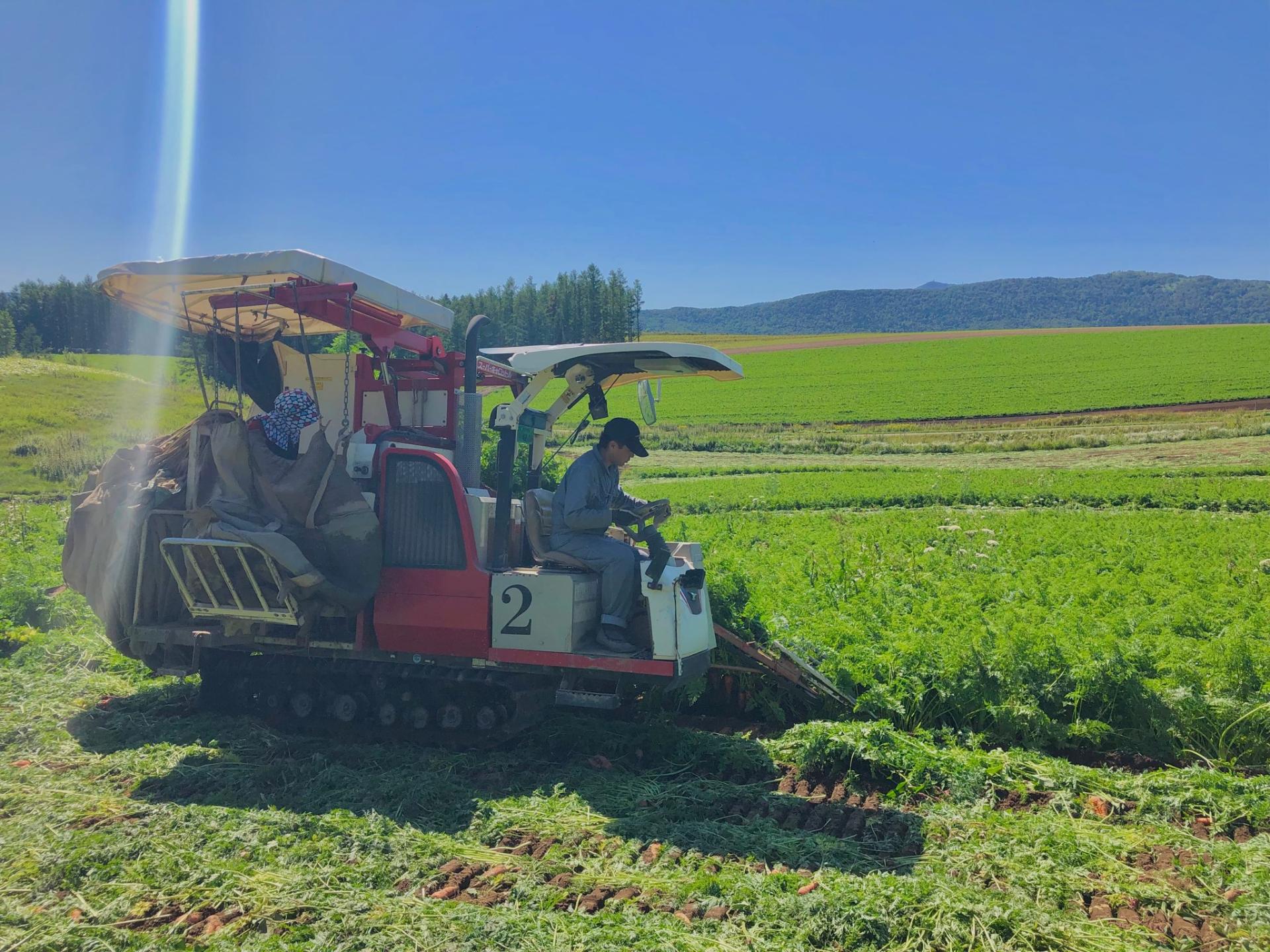 General Work in Farming