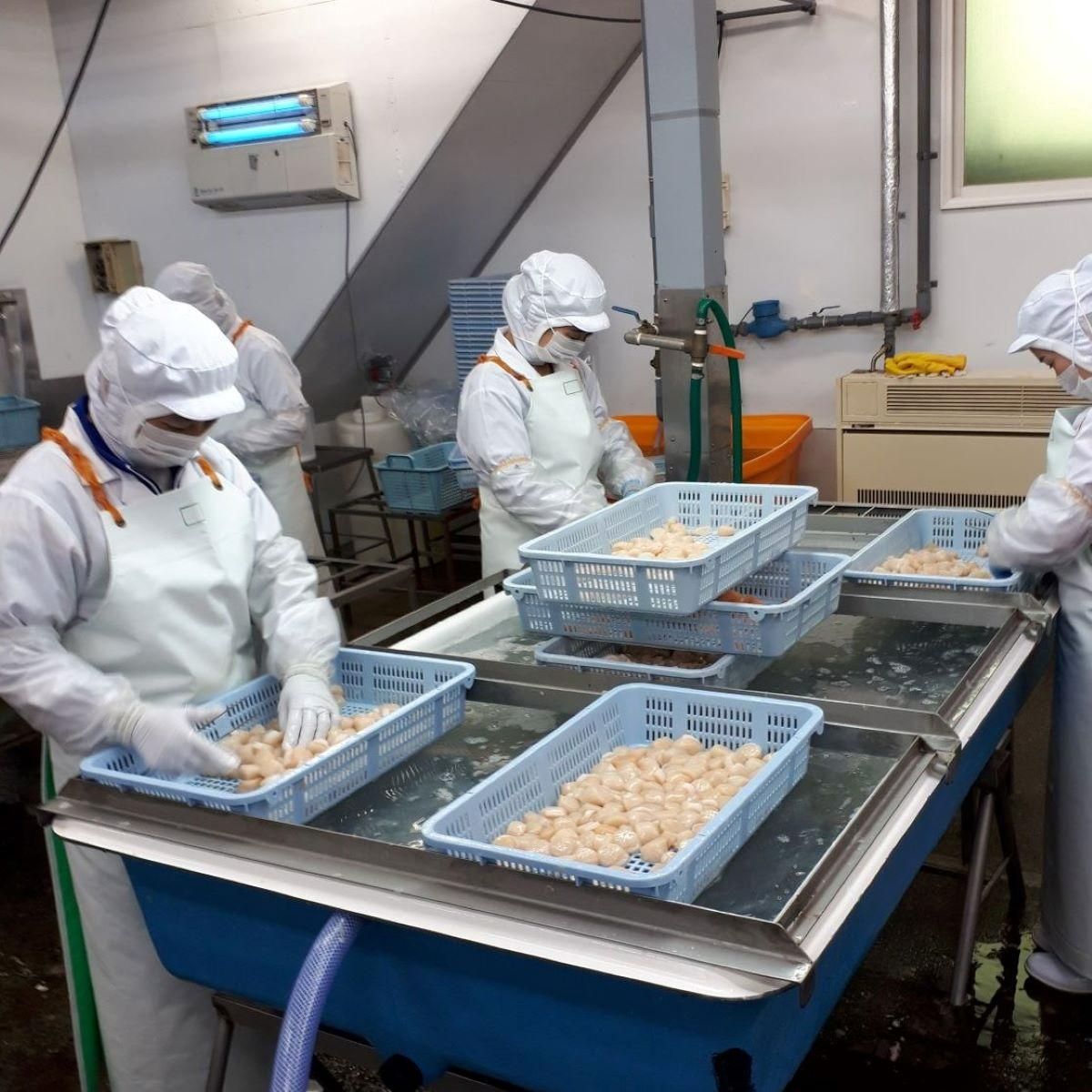 General Work in Factory