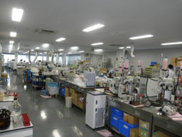 Office (Receptionist)