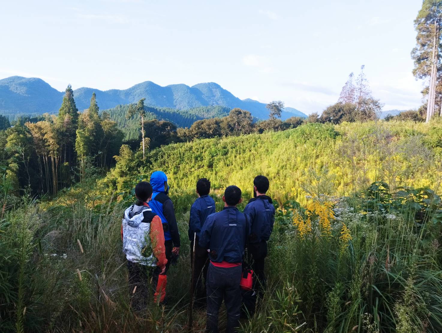 General Work in Forestry