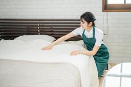 Hotel (Hotel Cleaner)