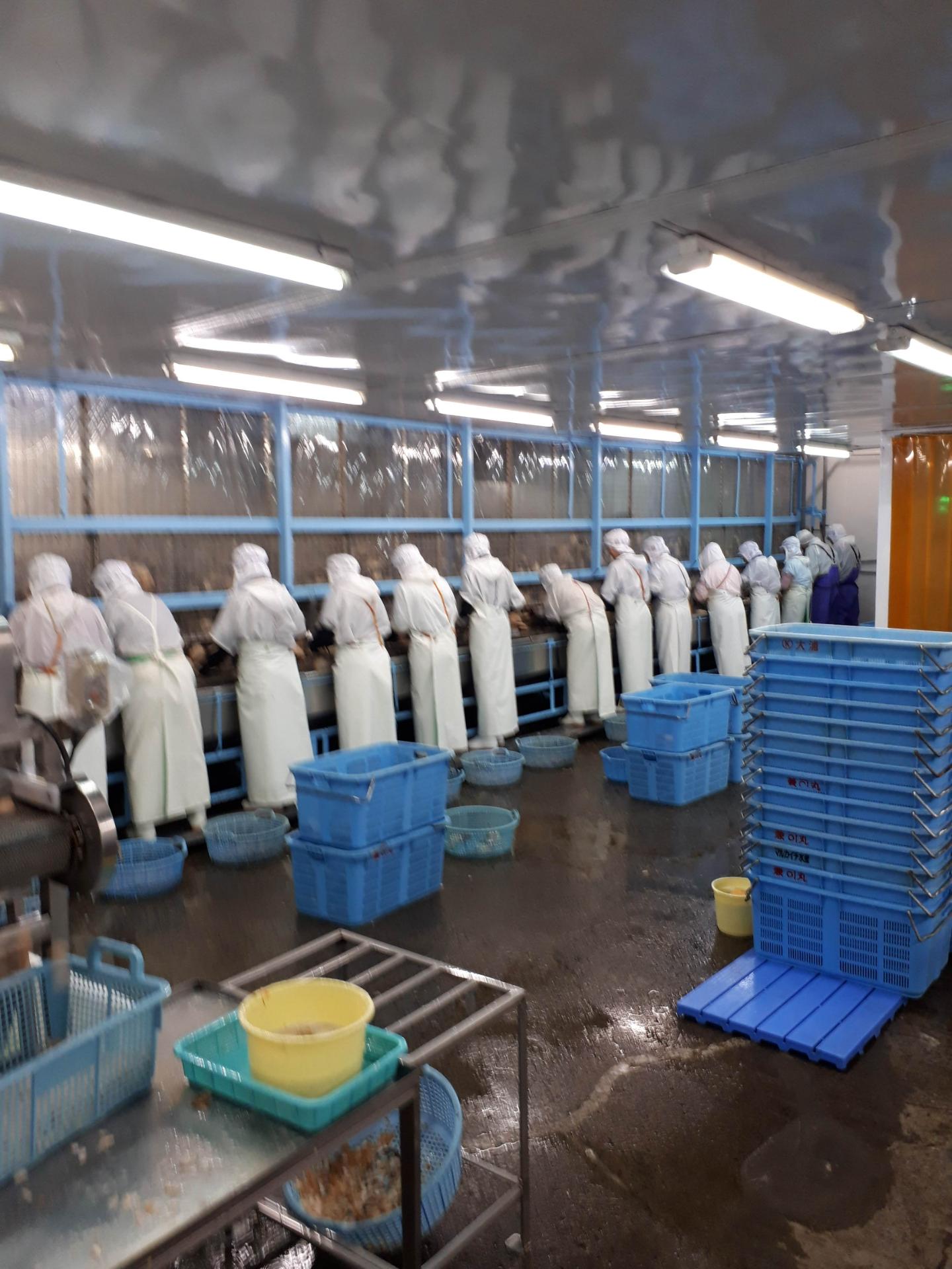 General Work in Factory