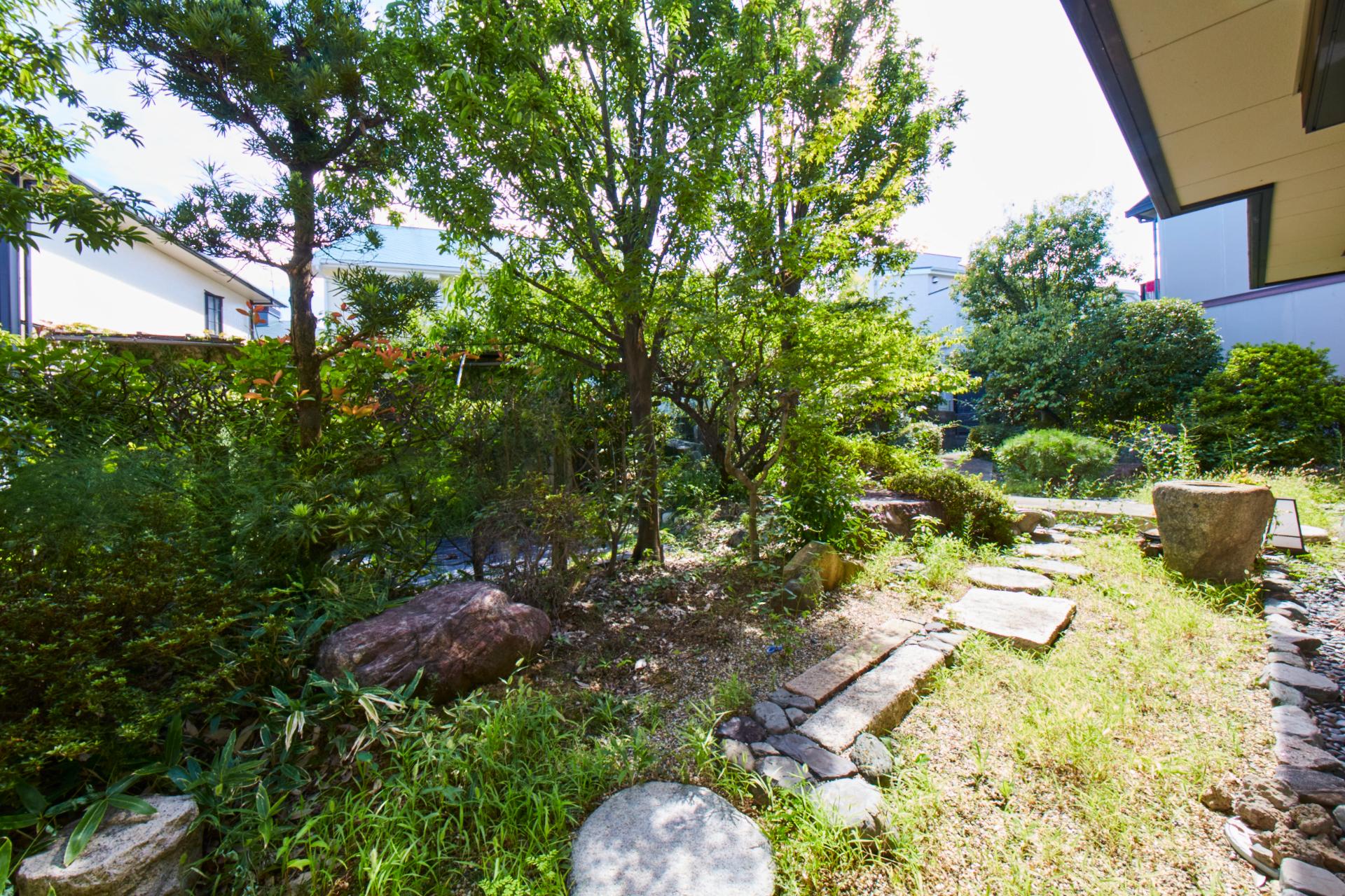 Care giver in Aging home