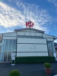 マッサージ (セラピスト)