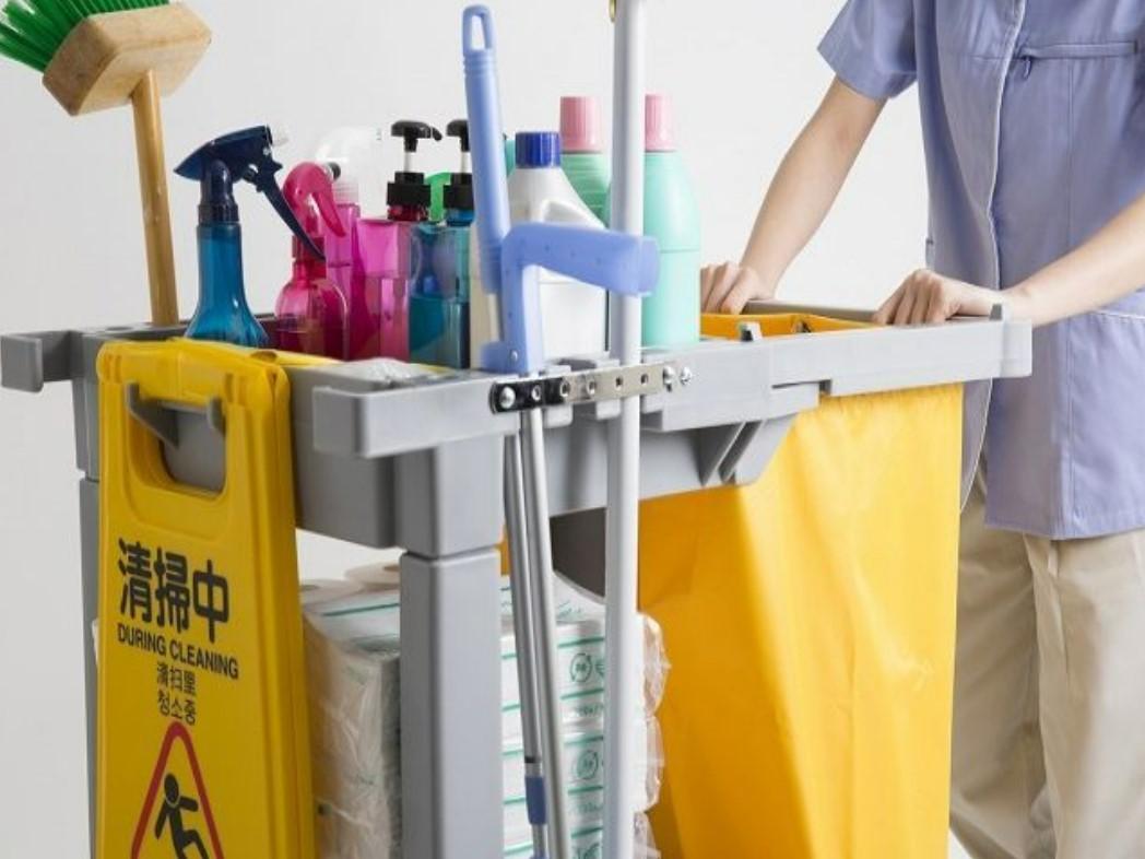 Building Cleaner in Cleaning Service