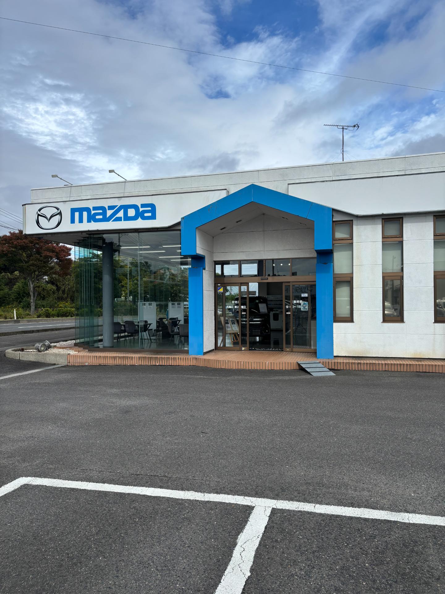 Mechanic in Car Garage