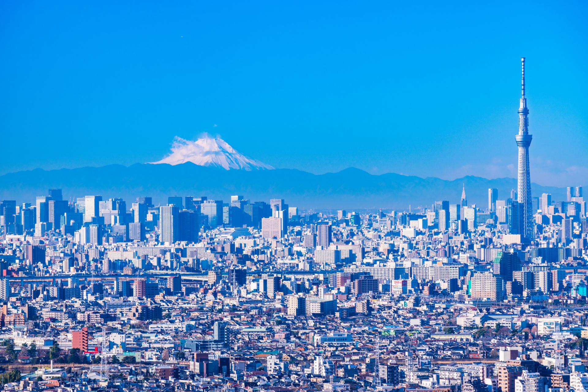 調理/飲食店/カフェ