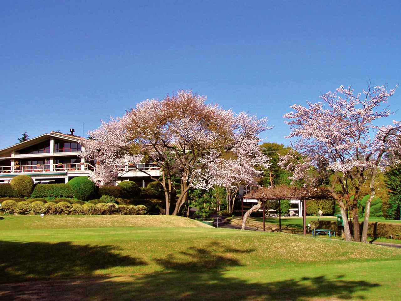 Course General Work in Golf Course