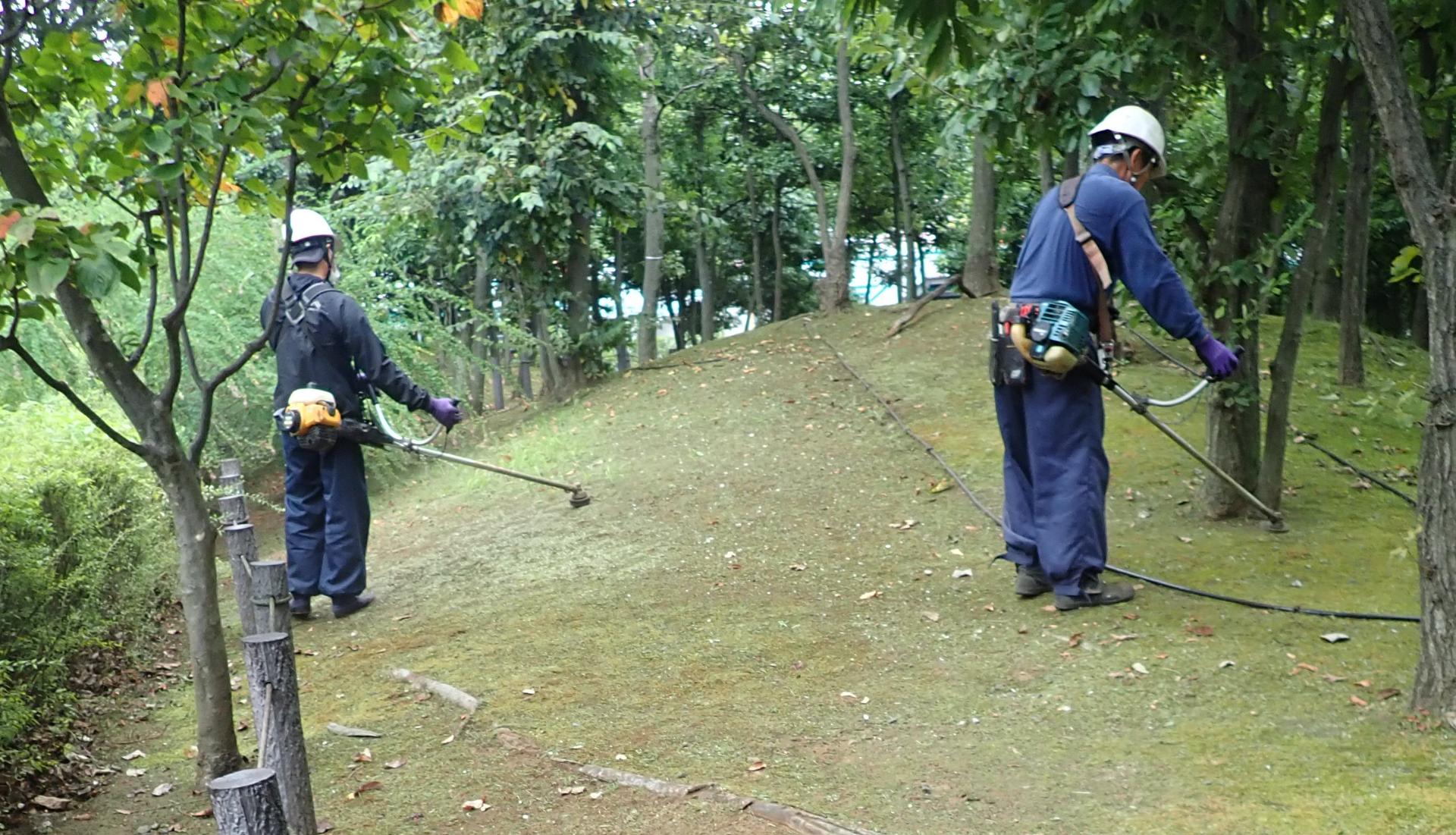 အျခား in ဥယျာဉ်