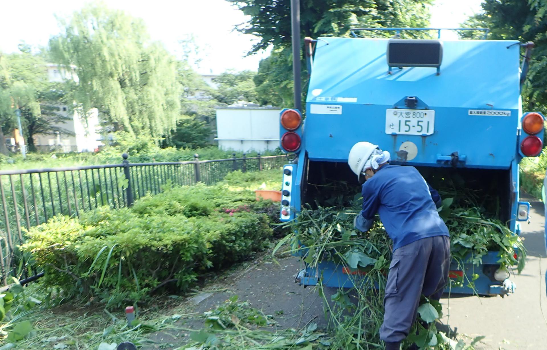 အျခား in ဥယျာဉ်