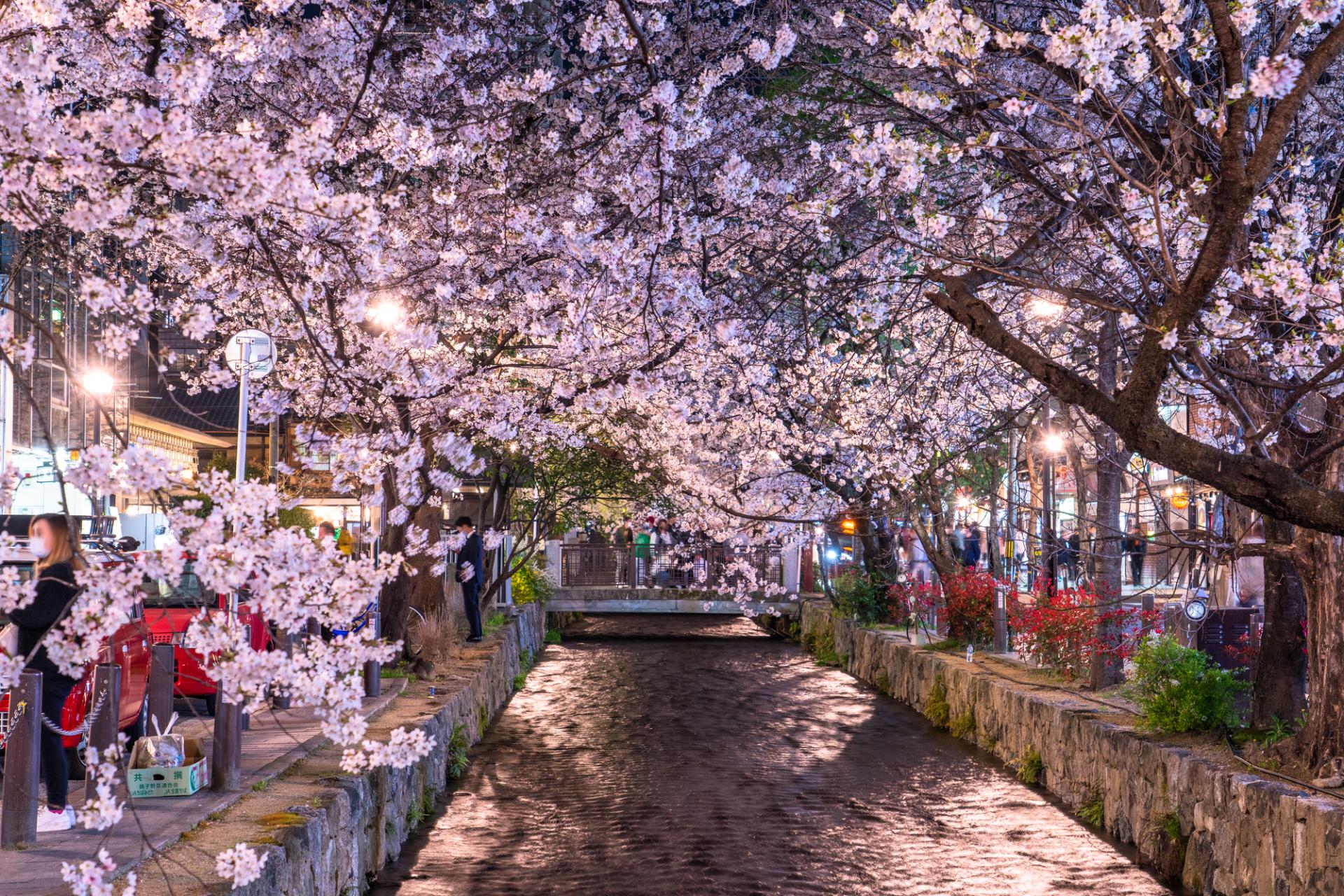 ホテル受付/ホテル