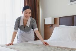 Hotel (Hotel Cleaner)