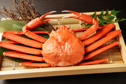 飲食店/ 居酒屋 (調理)