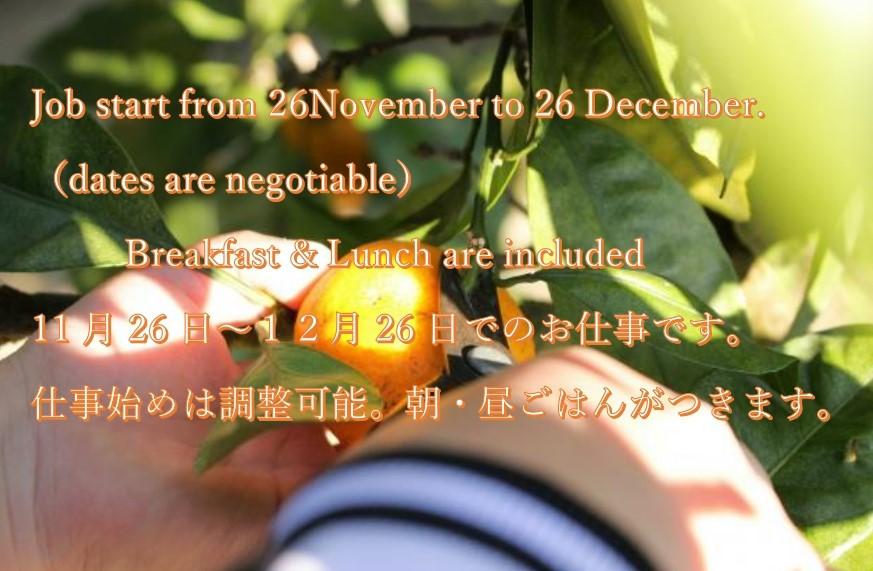 General Work in Farming