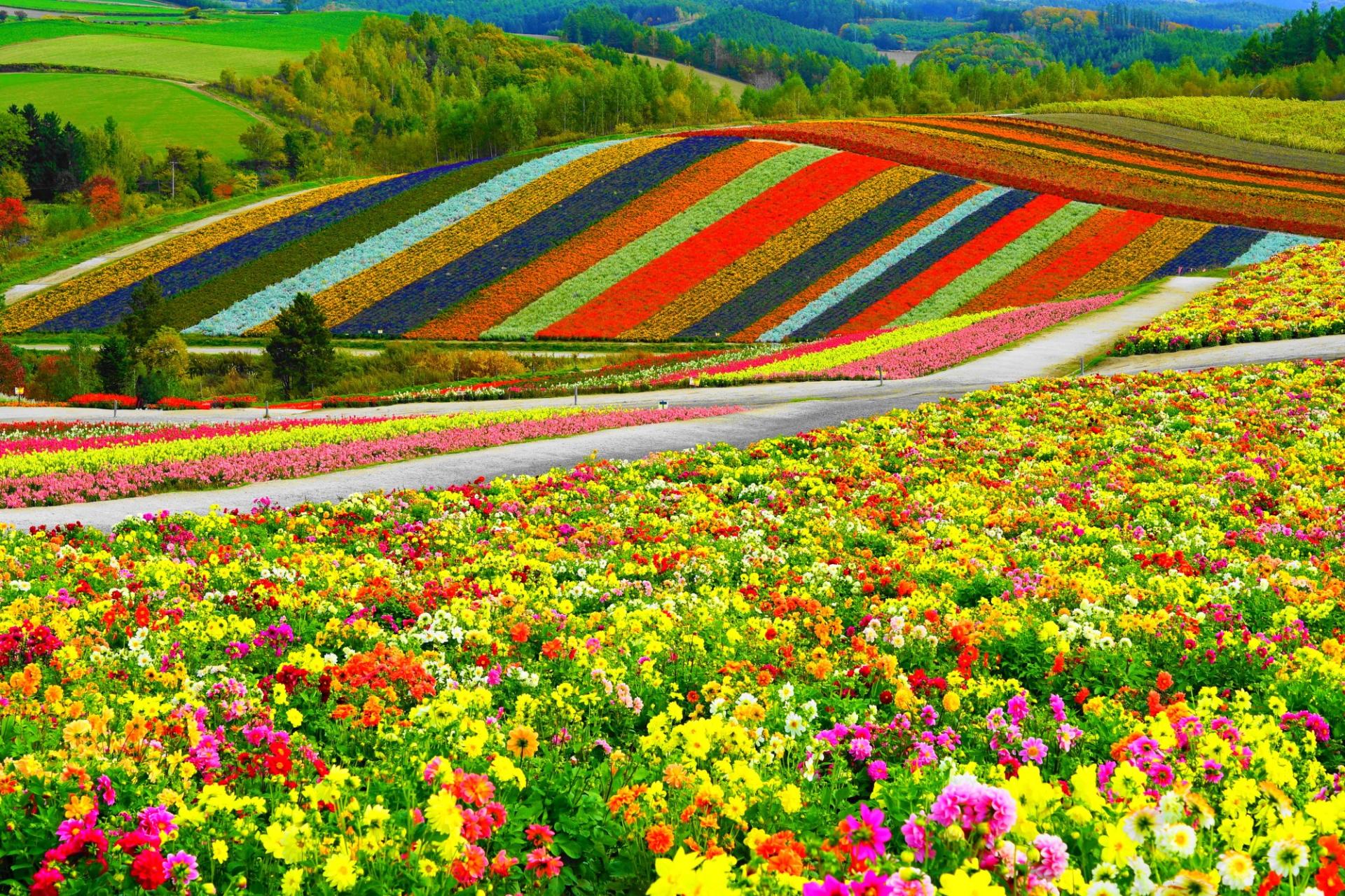 ဟိုတယ္ဧည့္ၾကိဳ in ဟိုတယ္