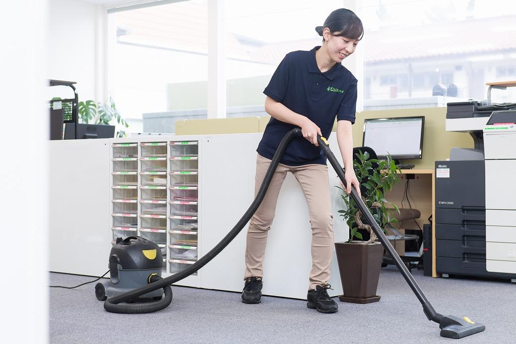 အဆောက်အဦး သန့်ရှင်းရေး in အဆောက်အဦး ထိန်းသိမ်းမှု