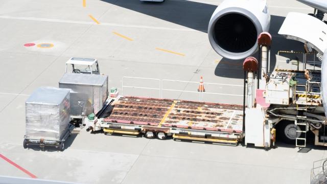 行李員 in 飛機場