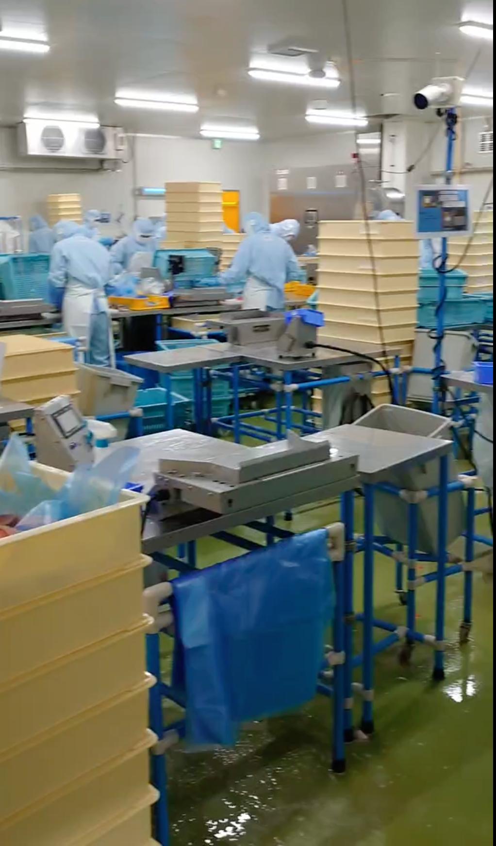 General Work in Fishery