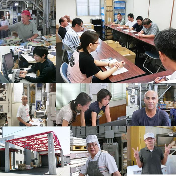 Factory (General Work)