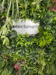 Restaurant (Waiter/ Waitress)