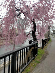 Restaurant (Waiter/ Waitress)