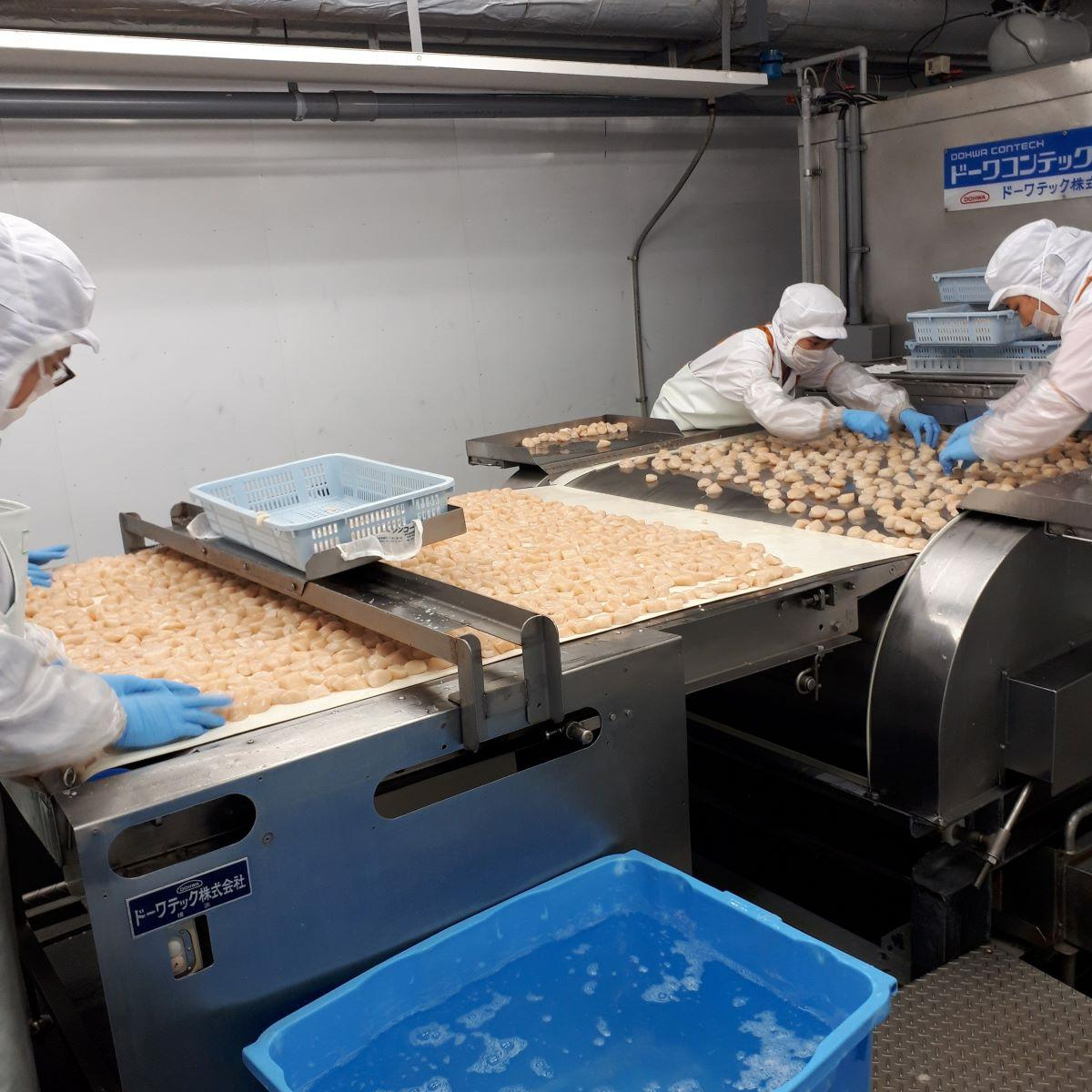 General Work in Factory