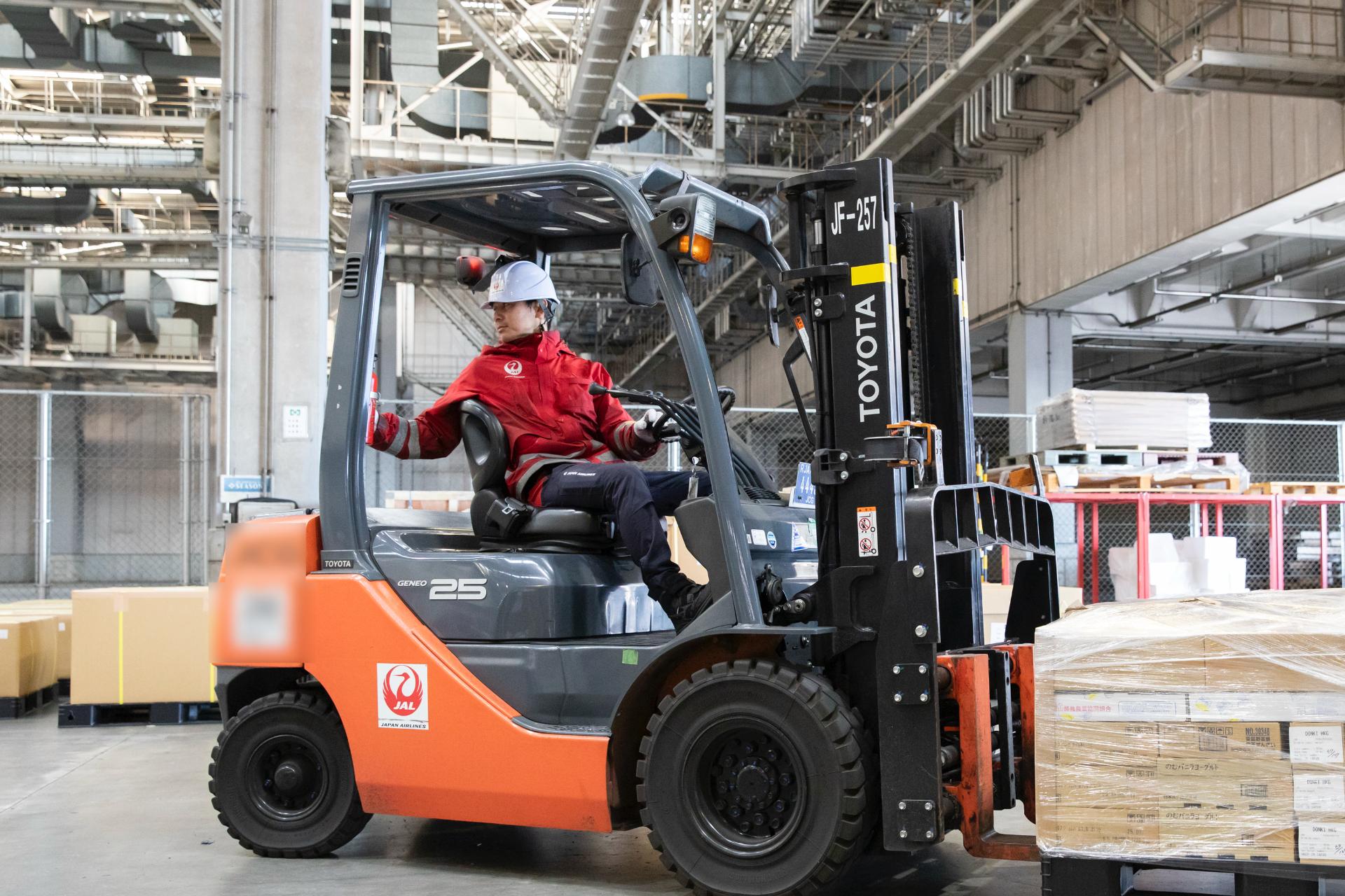 ခရီးဆောင်အိတ် in လေဆိပ်