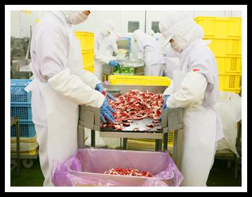 ラインさぎょう/工場（こうじょう）